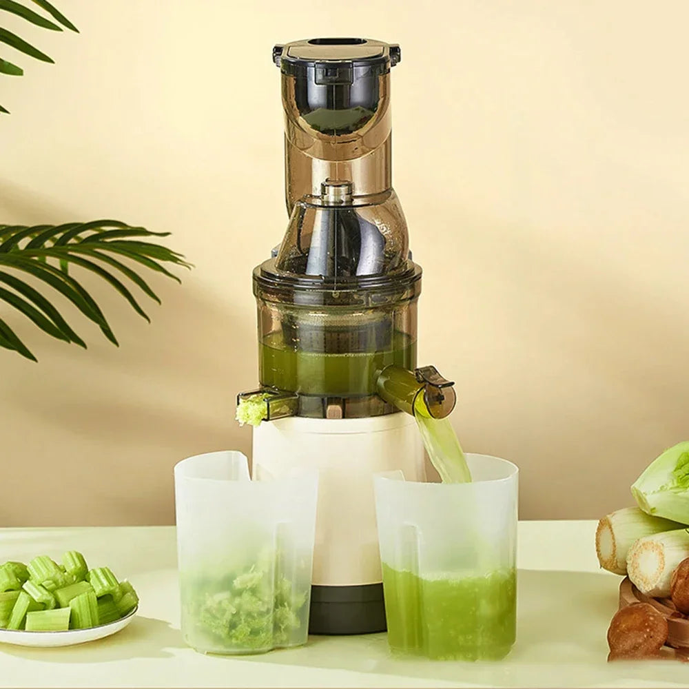 BlendMate Cold Press Juicer Pro