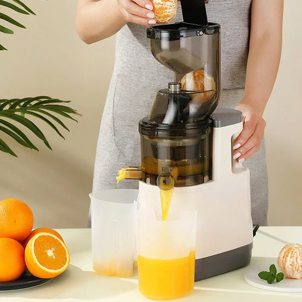 BlendMate Cold Press Juicer Pro