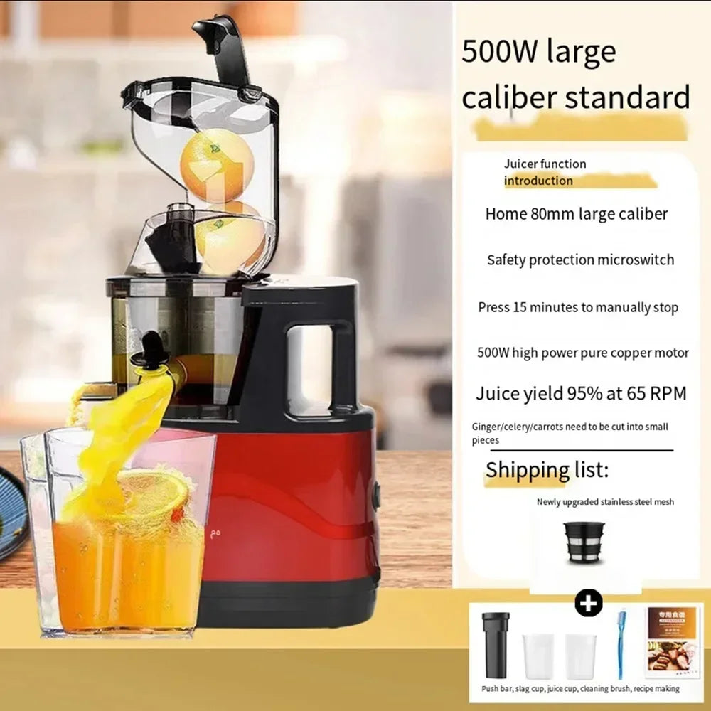 BlendMate Cold Press Juicer Pro