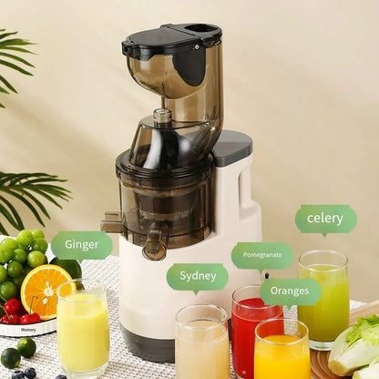 BlendMate Cold Press Juicer Pro