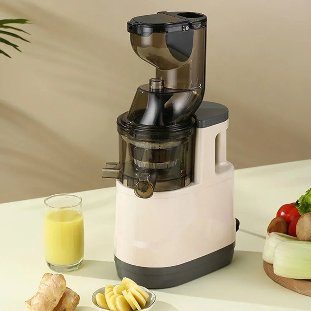 BlendMate Cold Press Juicer Pro