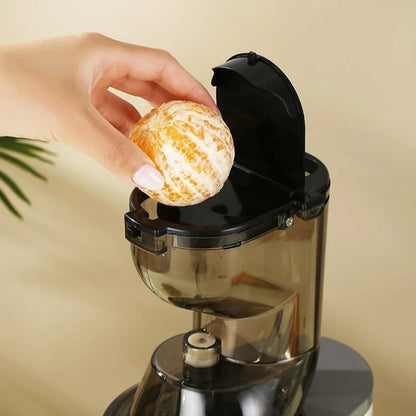 BlendMate Cold Press Juicer Pro