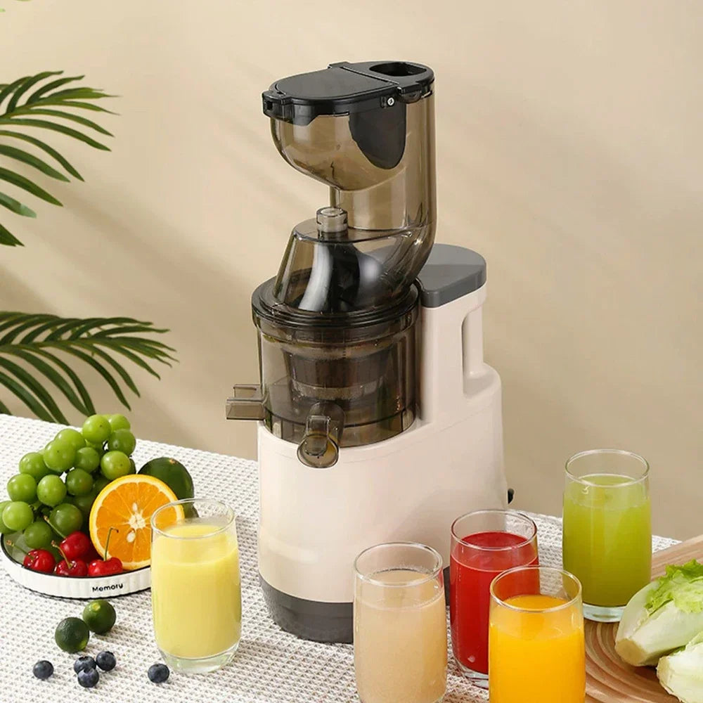 BlendMate Cold Press Juicer Pro