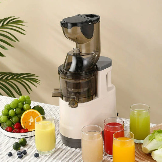 BlendMate Cold Press Juicer Pro
