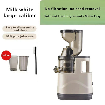 BlendMate Cold Press Juicer Pro