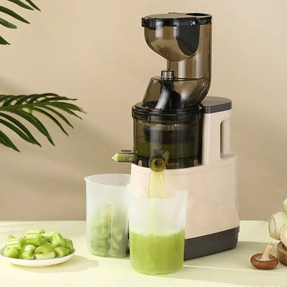 BlendMate Cold Press Juicer Pro