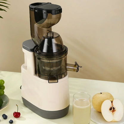 BlendMate Cold Press Juicer Pro