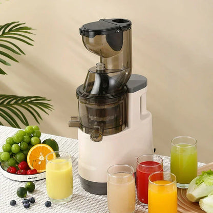 BlendMate Cold Press Juicer Pro
