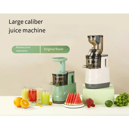 BlendMate Cold Press Juicer Pro