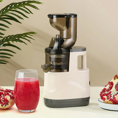BlendMate Cold Press Juicer Pro